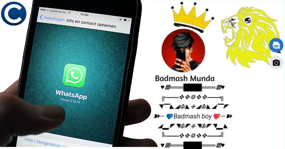 Short & Catchy VIP WhatsApp Bio