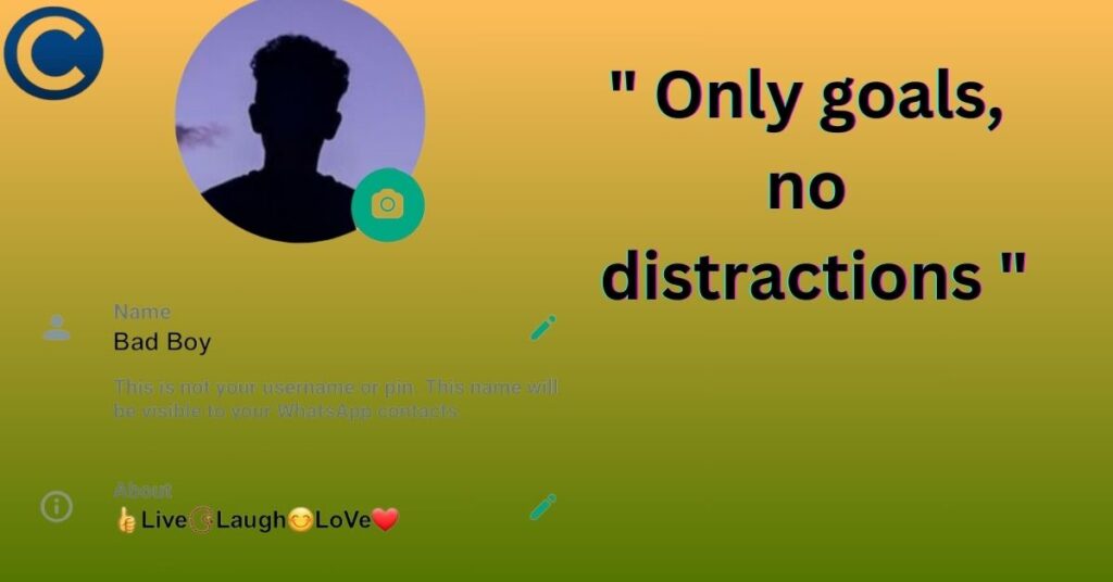 Short VIP WhatsApp Bio With Emoji
