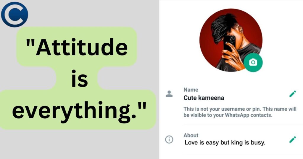 VIP Whatsapp Bio Attitude