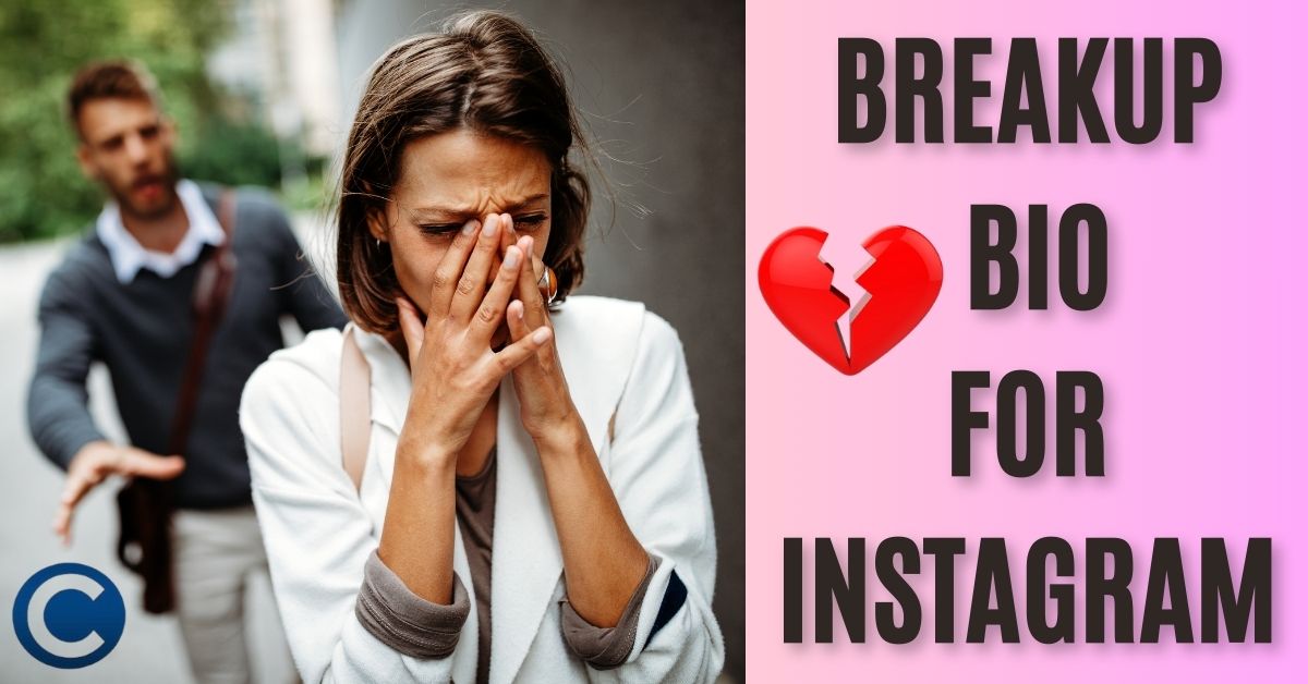 Love Breakup Bio For Instagram