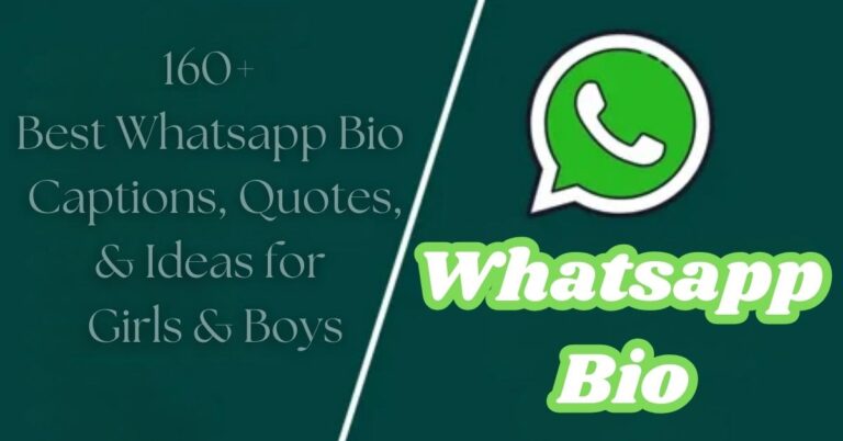 Whatsapp Bio