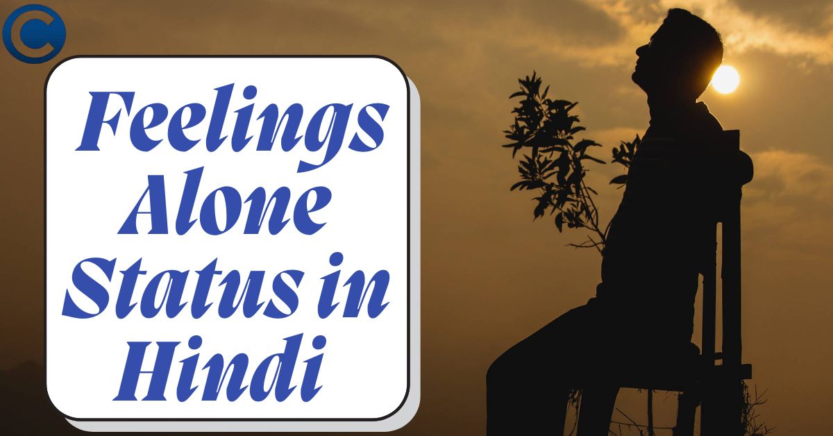 Feelings Alone Status in Hindi 