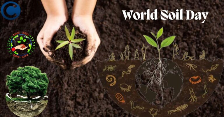 World Soil Day Quotes, Status, Message