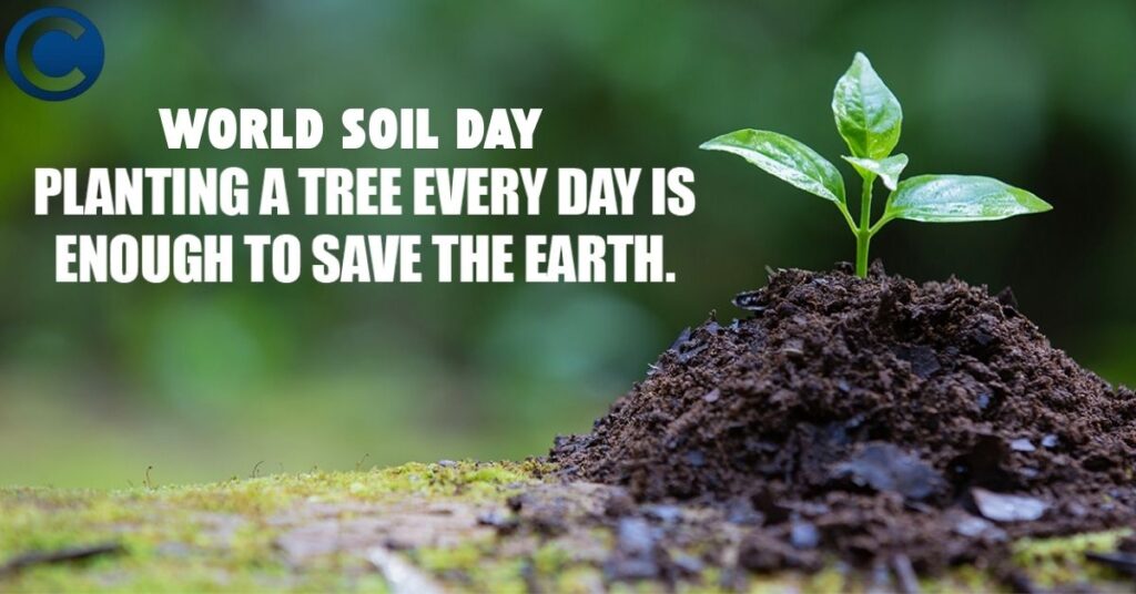 World Soil Day Quotes In English