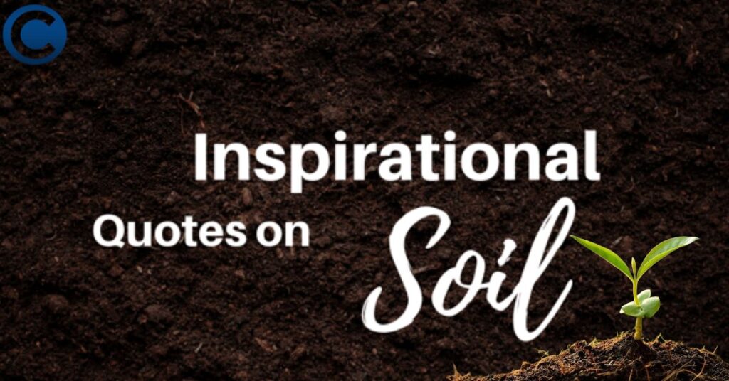 Inspirational Soil Quotes