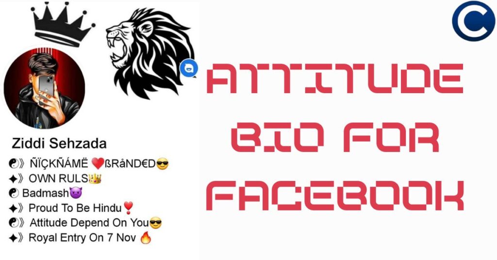 Attitude Bio for Facebook