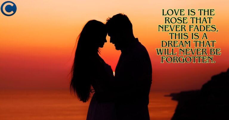 True love Shayari 