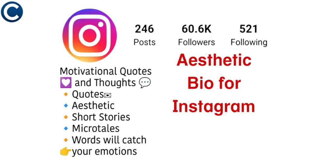 Aesthetic Music Bio For Instagram
