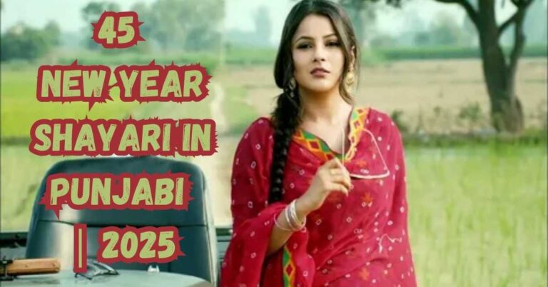 New Year Shayari in Punjabi