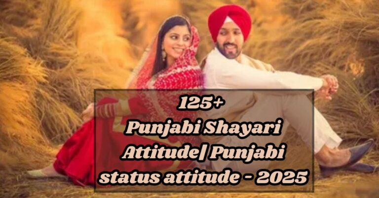 Punjabi Shayari Attitude